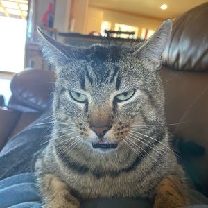 Meet your Posher, Kristina